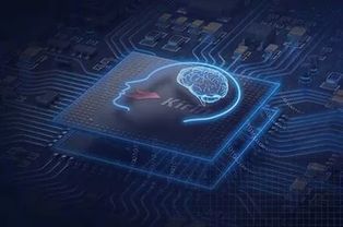 類腦人工智能 突破兩大困境的曙光與基礎軟件開發的進展